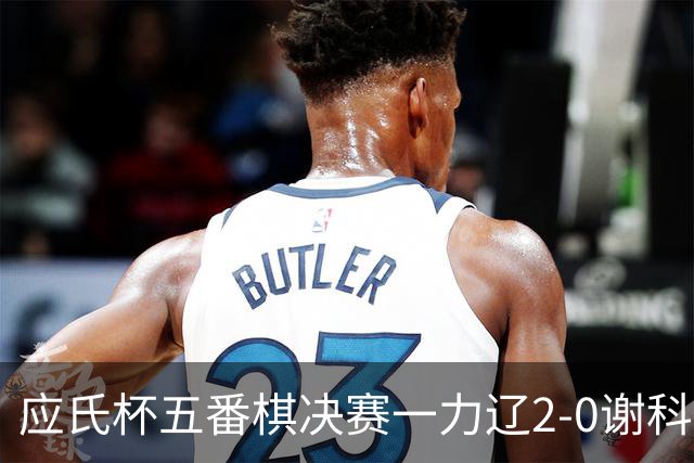 应氏杯五番棋决赛一力辽2-0谢科 率先拿到赛点